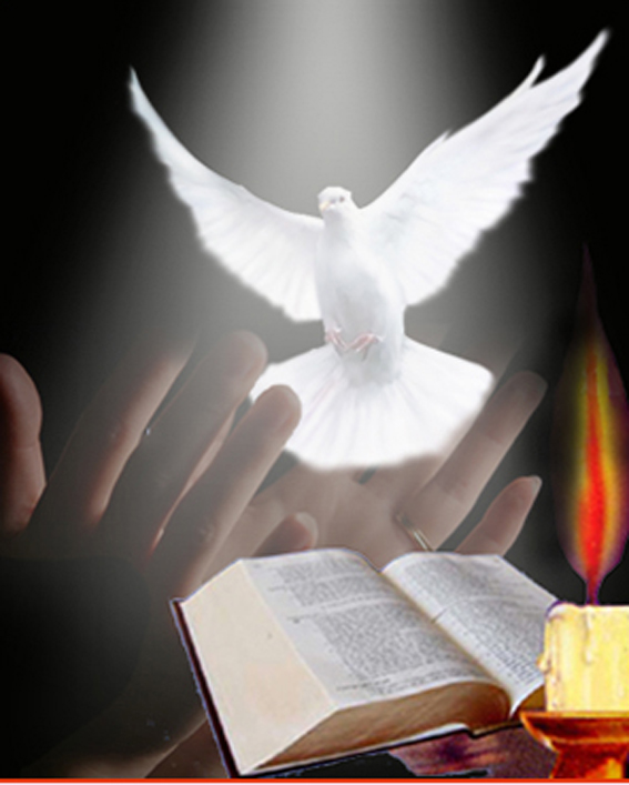 Sứ Điệp Của Đức Thánh Cha Nhân Ngày Hòa Bình Thế Giới lần thứ 46