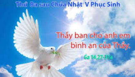 Suy Niệm Thứ Ba Sau CN V PS