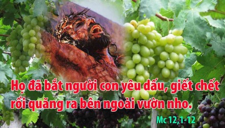 Suy Niệm Thứ Hai Tuần IX TN