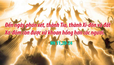 Suy Niệm Thứ Ba Sau CN XV TN