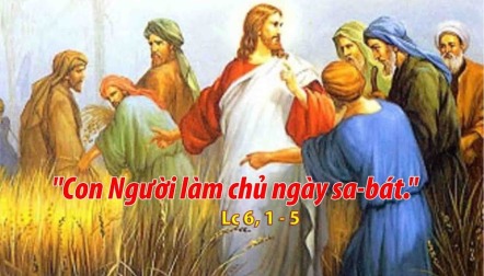 Suy Niệm Thứ Bẩy Sau CN XXII TN