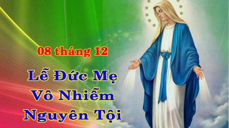 Suy Niệm Lễ Đức Maria Vô Nhiễm Nguyên Tội