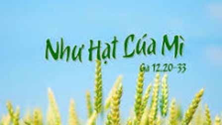 Suy Niệm Chúa Nhật V Mùa Chay, Năm B: Trao Ban Là Lãnh Nhận