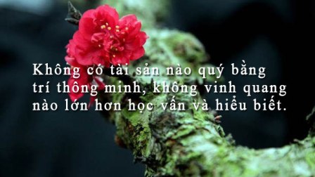 Tri Thức Là Sức Mạnh