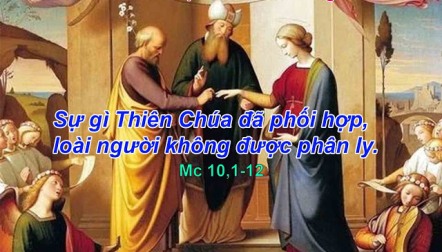 Suy Niệm Tin Mừng Thứ Sáu Tuần 7 TN