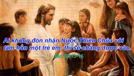 Suy Niệm Tin Mừng Thứ Bảy Tuần 7 TN