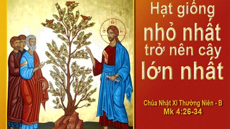 Suy Niệm Chúa Nhật XI, Thường Niên, Năm B: Chúa Sẽ Cho Mọc Lên