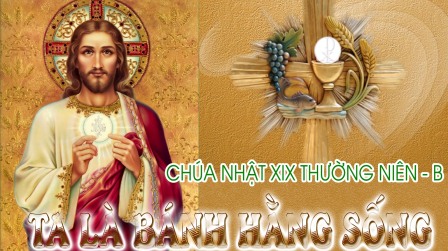 Các Bài Suy Niệm Tin Mừng Chúa Nhật 19 Thường Niên B