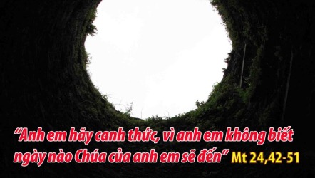 Suy Niệm Tin Mừng Thứ Năm Tuần 21 Thường Niên