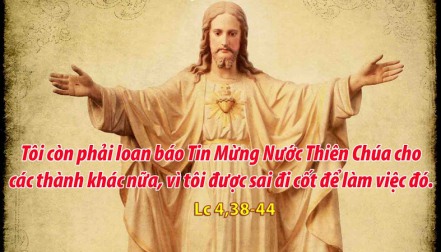 Suy Niệm Tin Mừng Thứ Tư Tuần 22 Thường Niên