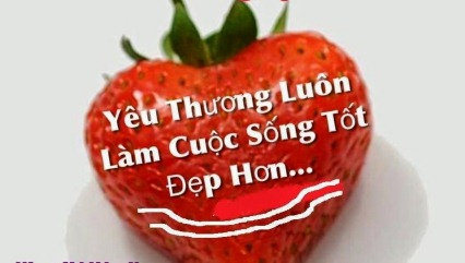 Hãy Sống Với Trọn Cả Trái Tim Để Làm Đẹp Cuộc Đời