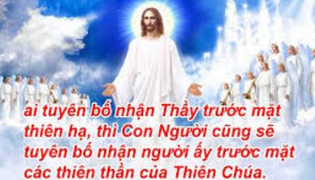 Suy Niệm Tin Mừng Thứ Bảy Tuần 28 Thường Niên