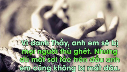 Suy Niệm Tin Mừng Thứ Tư Tuần 34 Thường Niên