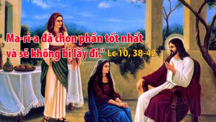 Suy Niệm Tin Mừng Chúa Nhật 16 Thường Niên Năm C