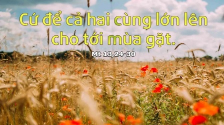 Mến Yêu Hằng Ngày Thứ Bảy, 27.07.2019