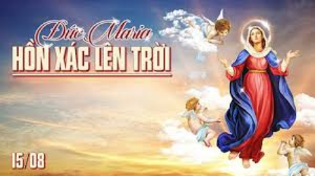 Suy niệm Tin Mừng lễ Đức Trinh Nữ Maria Lên Trời