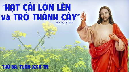 Hạt cải sẽ thành cây lớn