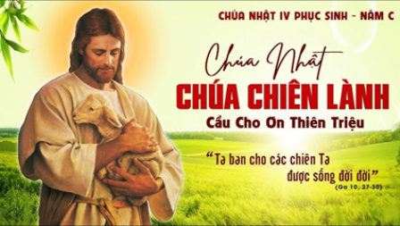 Suy niệm Tin mừng Chúa Nhật IV Phục sinh năm C (Cv 13,14.43-52; Kh 7,9.14b-17; Ga 10,27-30)