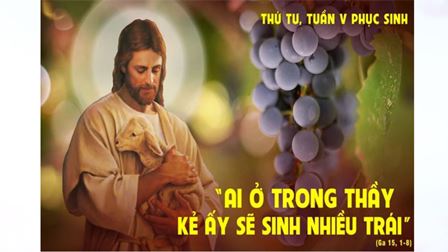 Suy niệm Tin mừng thứ Tư tuần V Phục sinh (Ga 15,1-8)