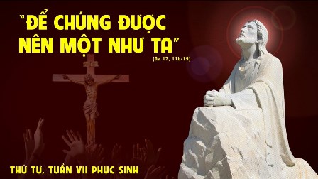 Suy niệm Tin mừng thứ Tư tuần VII Phục sinh (Ga 17,11b-19)