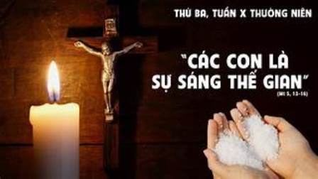 Suy niệm Tin mừng thứ Ba tuần X Thường niên (Mt 5,13-16)