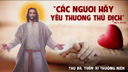 Suy niệm Tin mừng thứ Ba tuần XI Thường niên (Mt 5,43-48)