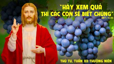 Suy niệm Tin mừng thứ Tư tuần XII Thường niên (Mt 7,15-20)