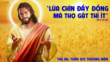 Suy niệm Tin mừng thứ Ba tuần XIV Thường niên (Mt 9,32-38)