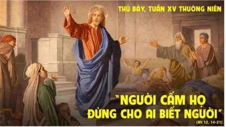 Suy niệm Tin mừng thứ Bảy tuần XV Thường niên (Mt 12, 14-21)