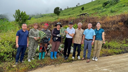 Giáo xứ Điện Biên làm bác ái trao 10.000 gốc dứa mật Mường Nhà cho bà con hai bản Huổi Hua và Tin Lá, xã Núa Ngam, tỉnh Điện Biên