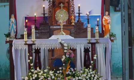 Chuẩn Xứ Tiền Phong Chầu Thánh Thể Chúa Thay Mặt Giáo Phận Năm 2025