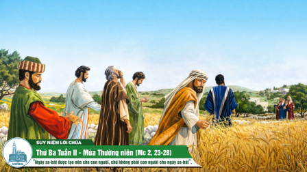 Thứ Ba Tuần II - Mùa Thường Niên (Mc 2, 23-28)