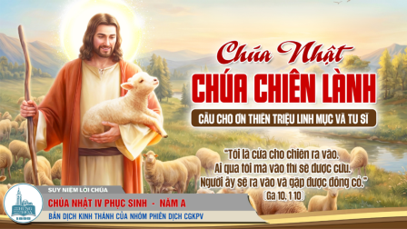 Chúa Nhật Tuần IV - Mùa Phục Sinh: Tin Mừng (Ga 10,1-10)
