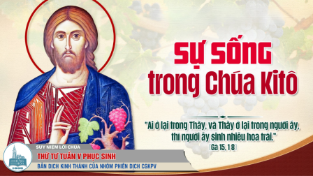 Thứ Tư Tuần V - Mùa Phục Sinh | Tin Mừng: Ga 15,1-8