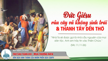 Thứ Sáu Tuần VIII - Mùa Thường Niên | Tin Mừng: Mc 11,11-26