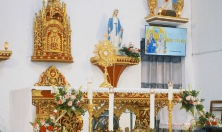 Giáo Họ Bạch Quê Hân Hoan Chầu Thánh Thể Thay Mặt Giáo Phận Trong Chúa Nhật Lễ Chúa Ba Ngôi
