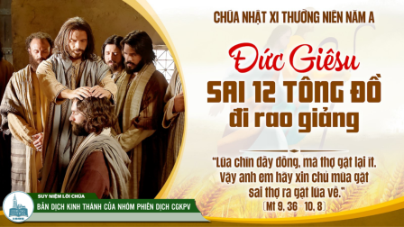 Chúa Nhật Tuần XI - Mùa Thường Niên | Tin Mừng: Mt 9,36 - 10,8