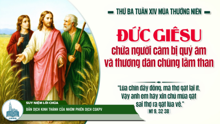 Thứ Ba Tuần XIV - Mùa Thường Niên | Tin Mừng: Mt 9, 32-38