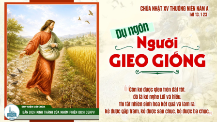 Chúa Nhật Tuần XV - Mùa Thường Niên | Tin Mừng: Mt 13,1-23