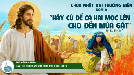 Chúa Nhật Tuần XVI - Mùa Thường Niên | Tin Mừng: Mt 13,24-43