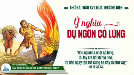 Thứ Ba Tuần XVII - Mùa Thường Niên | Tin Mừng: Mt 13,36-43
