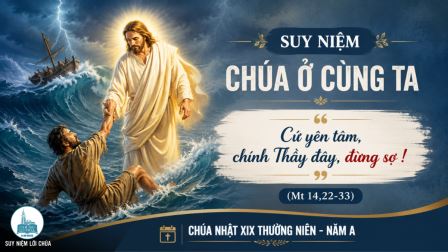 Chúa Nhật Tuần XIX - Mùa Thường Niên | Tin Mừng: Mt 14,22-33