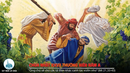 Chúa Nhật Tuần XXVII - Mùa Thường Niên | Tin Mừng: Mt 21,33-43